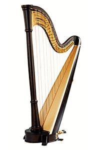 horngacher harps