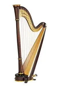 andromeda individual 1